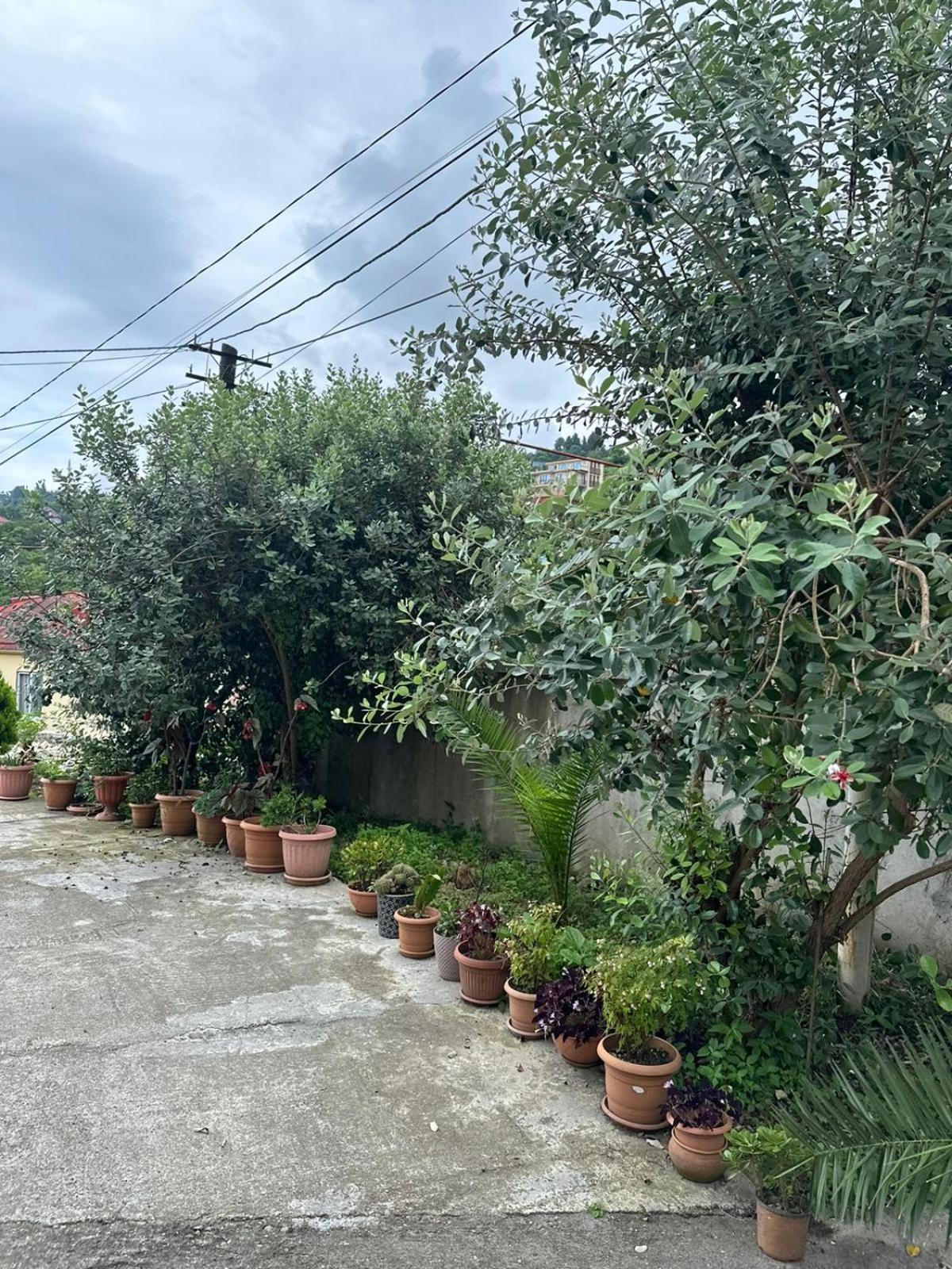 منزل الضيف ماكينجاوري  في Shamil House المظهر الخارجي الصورة